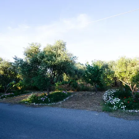 Village Drapanias